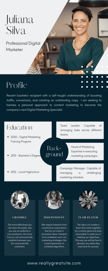 Professional Infographic Design