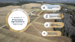 Benefits of Precision Agriculture with Adept Motions Drone Services