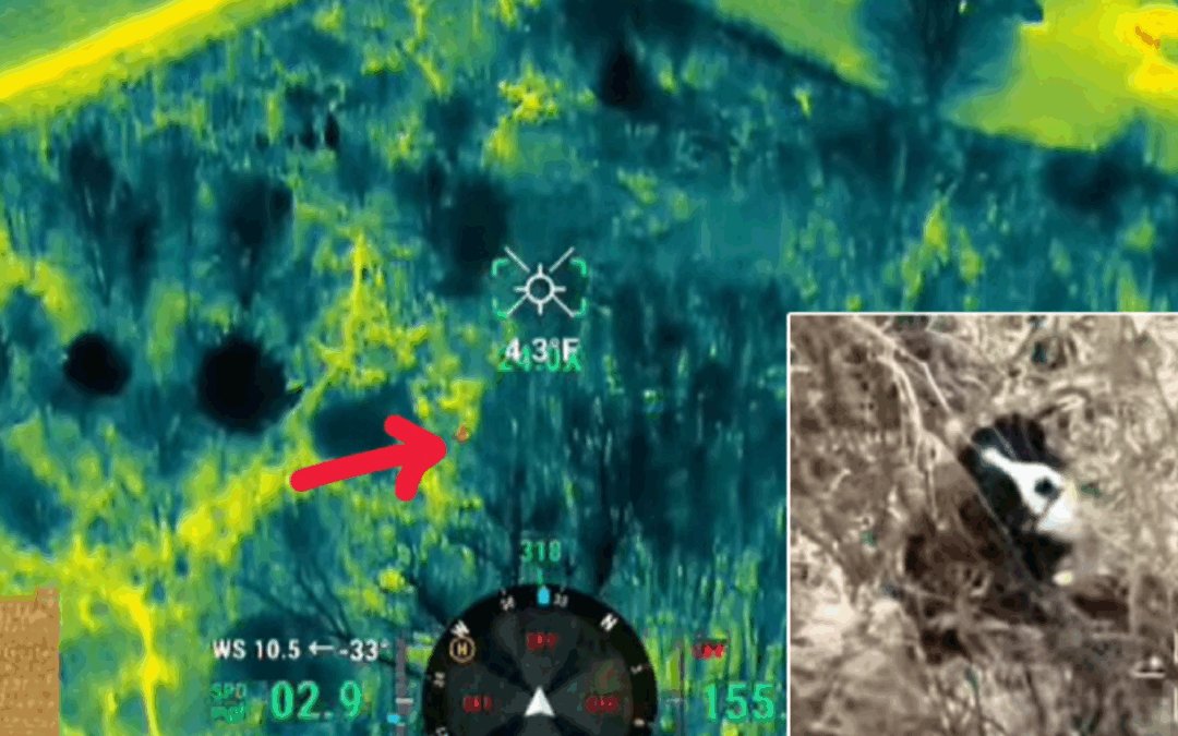 Why Drones Are the Unexpected Heroes of Animal Rescue