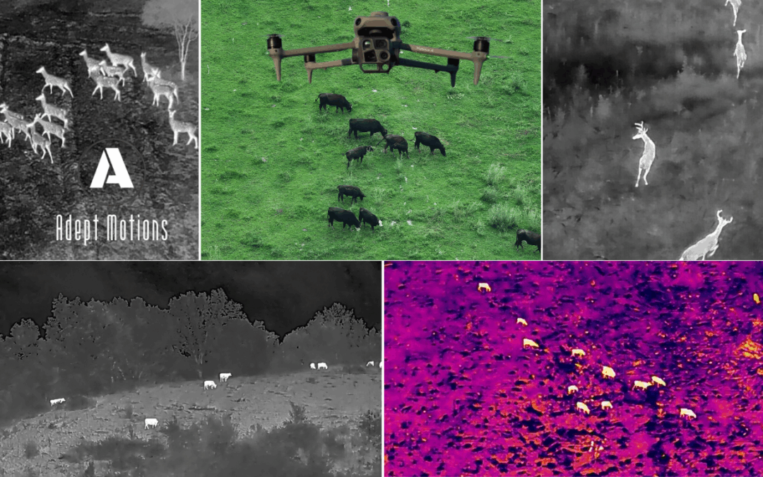 Drones: The New Farmhands You Don’t Have to Feed