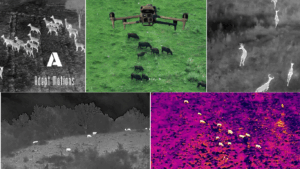 Drones Are the Future Farmhands