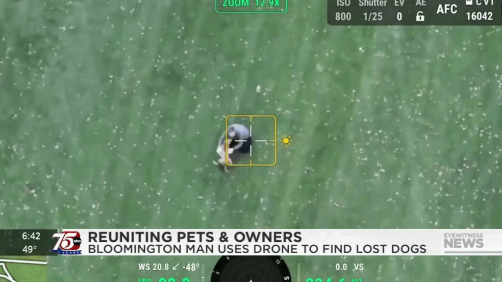 News Footage of Lost Animal Rescue by a Drone