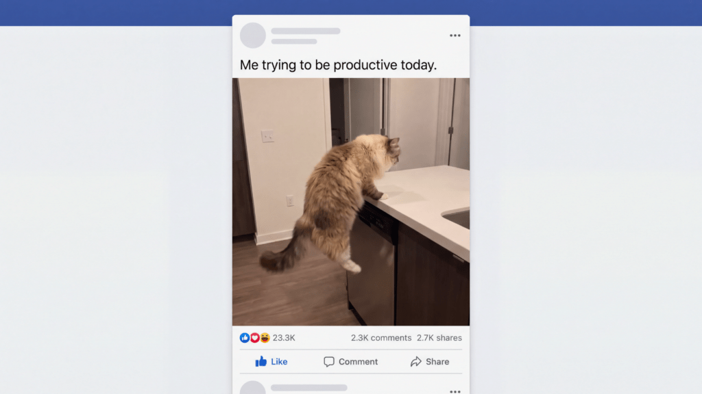 Trending Social Media Post of a Cat Climbing on a Sink.